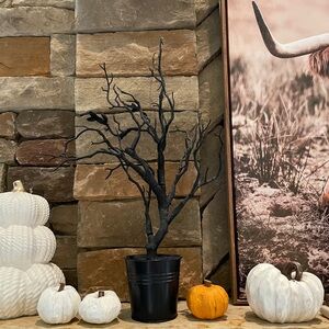2 Black Trees / Halloween Decor